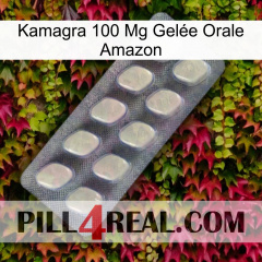 Kamagra 100 Mg Gelée Orale Amazon 08